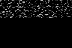everGirl (USA) demo