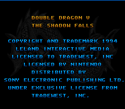 Double Dragon V - The Shadow Falls (Europe) demo