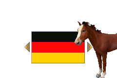 Pferd & Pony - Best Friends - Mein Pferd (Germany) (En,De) demo