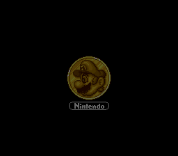 Super Mario Collection (Japan) (Rev 1) (Wii) demo