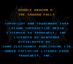 Double Dragon V - The Shadow Falls (Europe) demo