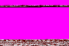 Charlotte's Web (Europe) (En,Fr,De,Es,It) demo