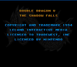 Double Dragon V - The Shadow Falls (USA) demo