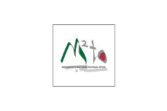 Advance GTA (Japan) (En) demo